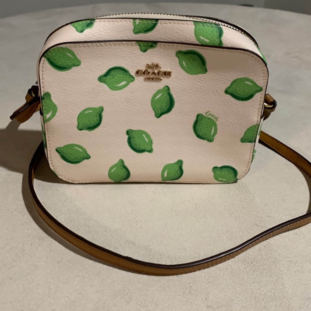 Coach mini purse